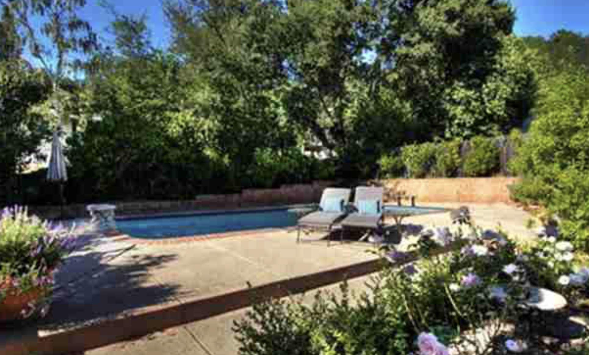 Backyard Dreams — before